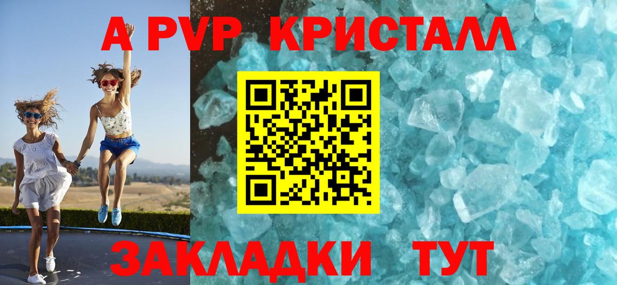 A PVP СК КРИС Новокубанск