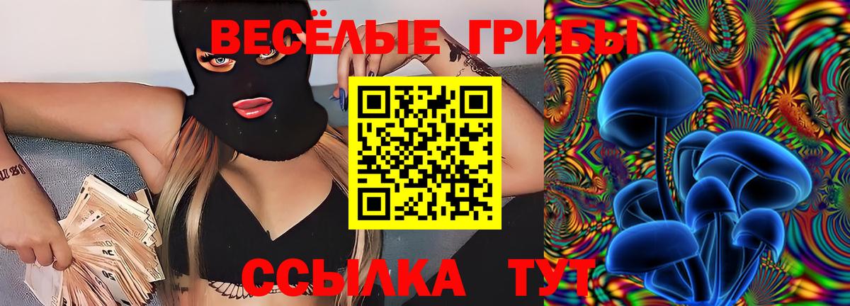 цены наркотик  Вход с VPN  Новокубанск  Галлюциногенные грибы Cubensis 