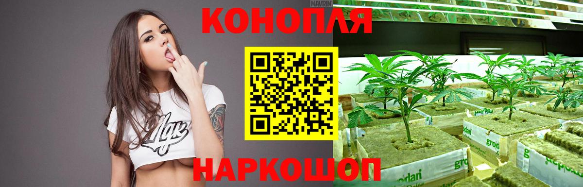 Каннабис конопля Новокубанск